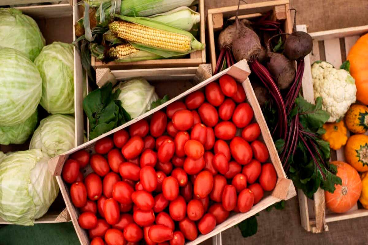 Variedad-de-productos-de-alimentación